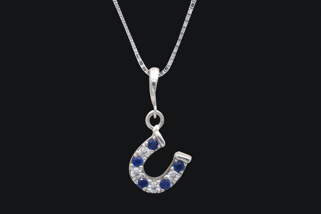 Sterling Silver Blue & Clear Cubic Zirconia Dangle Delicate Horseshoe Necklace - Elegant Elements By Kelly