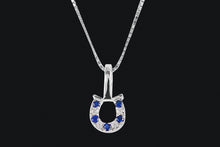 Load image into Gallery viewer, Sterling Silver Blue &amp; Clear Cubic Zirconia Tiny Horseshoe Necklace
